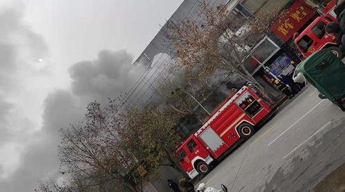 信阳火灾最新爆料,揭秘事故原因与救援情况